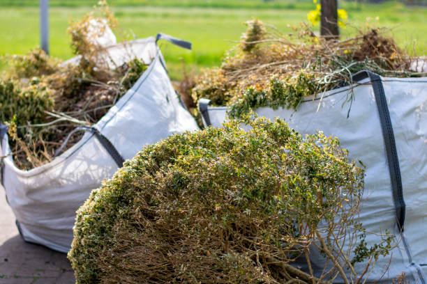 Professional Junk Removal Services in Lexington, WA