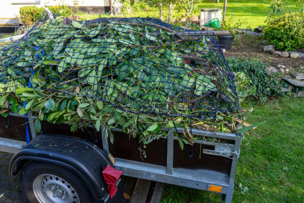 Same-Day Junk Removal Services in Lexington, WA